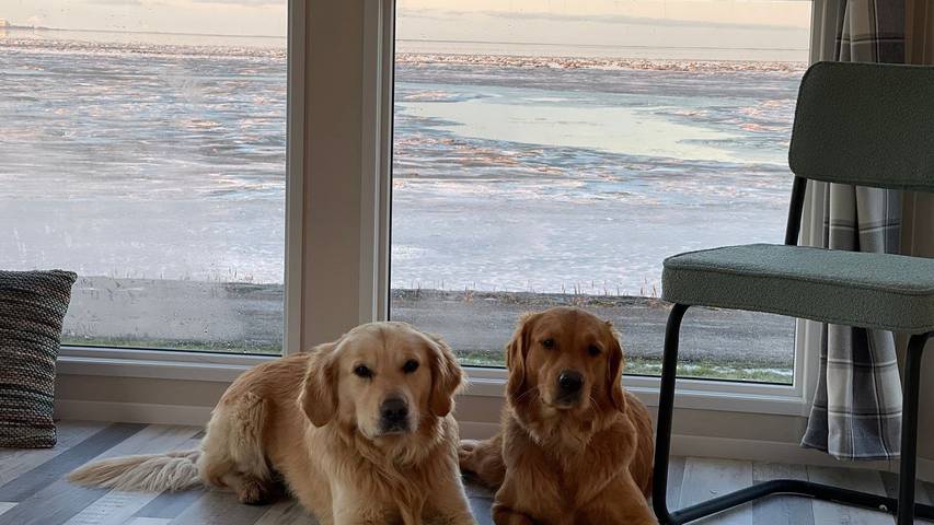 Ferienhaus für 4 Personen, mit Ausblick und Garten, mit Haustier in Westerland (Niederlande)