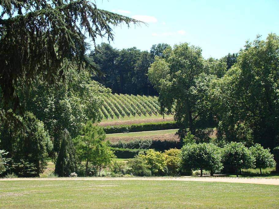 Appartement entier, One-Bedroom Apartment in Bellevigne-en-Layon, Région d'Angers