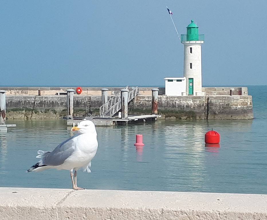 Maison de Pêcheurs La Flotte en Ré - 2 in La Flotte, Île de Ré