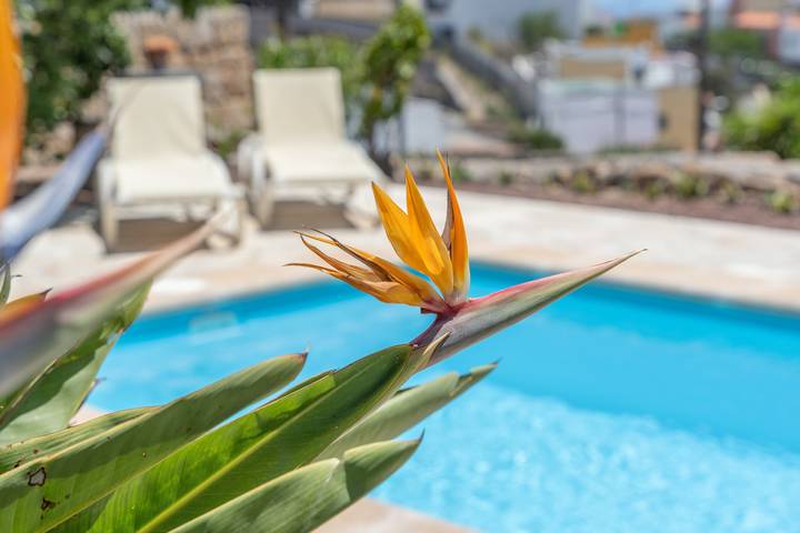 Landhaus für 6 Personen, mit Balkon und Garten auf Teneriffa - 4