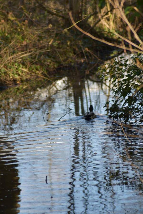 Camping pour 6 personnes, avec bassin pour enfant et jardin ainsi que piscine et vue dans Essonne - 2