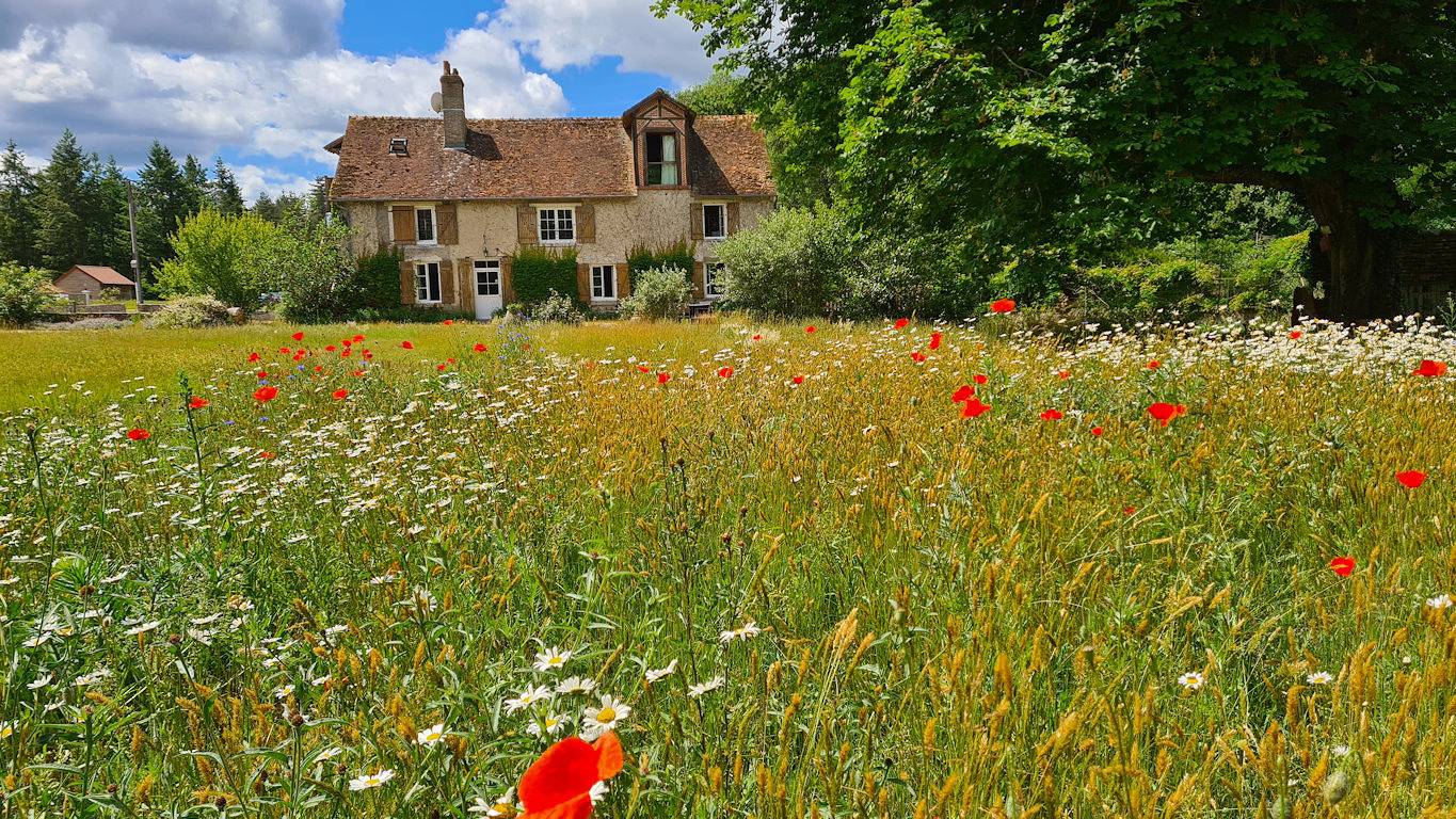 Gite Le Moulin de Crouy in Crouy-sur-Cosson, Sologne