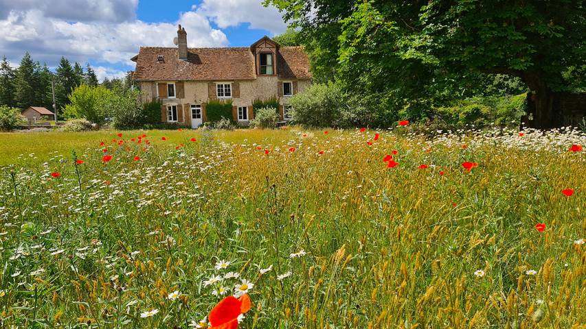 Gîte pour 18 personnes, avec terrasse ainsi que jardin et piscine, animaux acceptés