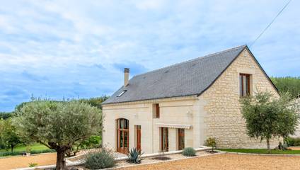 Gîte pour 10 personnes, avec jardin ainsi que vue sur le lac et terrasse, animaux acceptés à Saint-Nicolas-de-Bourgueil