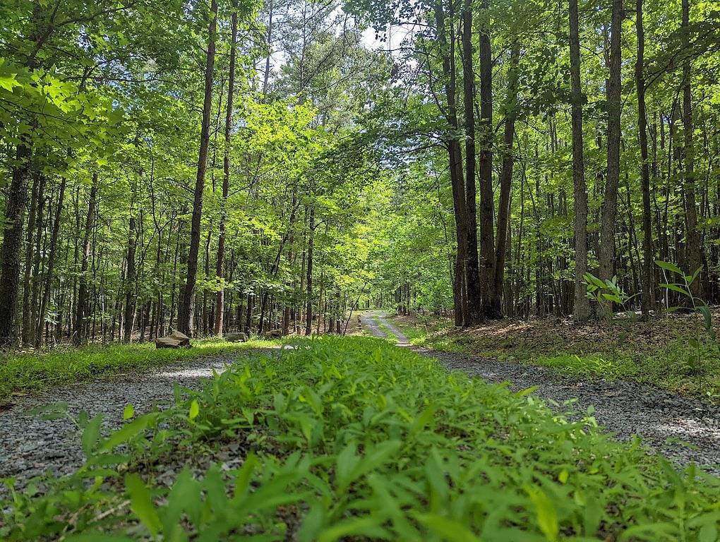 4-bedroom Vacation Cabin on 50 Private Acres in Seneca Rocks