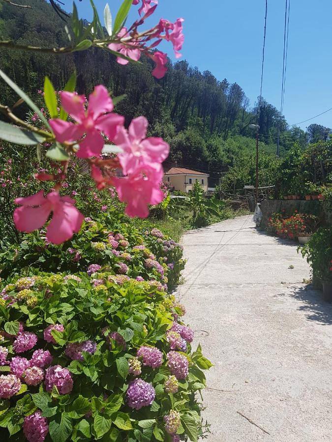 Casa vacanza per 8 persone, con giardino e panorama - 1