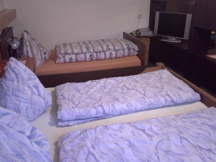 Ferienwohnung für 3 Personen, mit Terrasse und Garten, mit Haustier in Oberwölz - 4