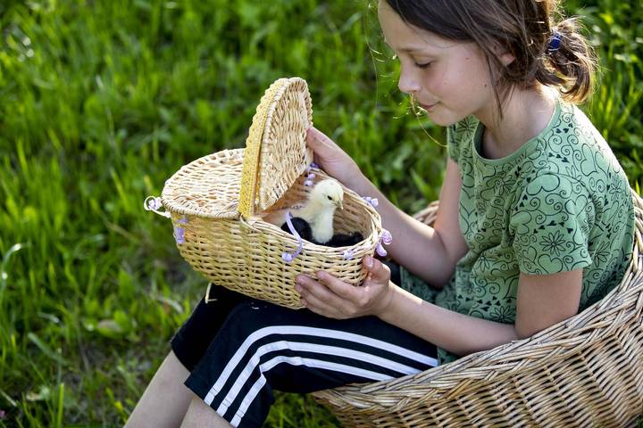 Bauernhaus für 4 Personen, mit Garten, mit Haustier in der Steiermark - 3