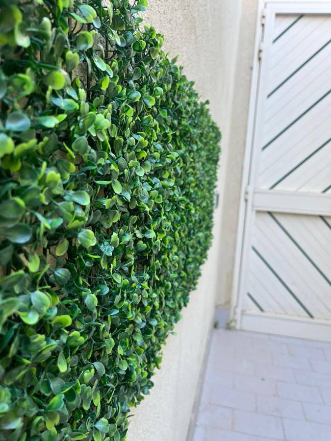 Chambre d’hôte pour 2 personnes, avec jardin et terrasse à Trapani - 4
