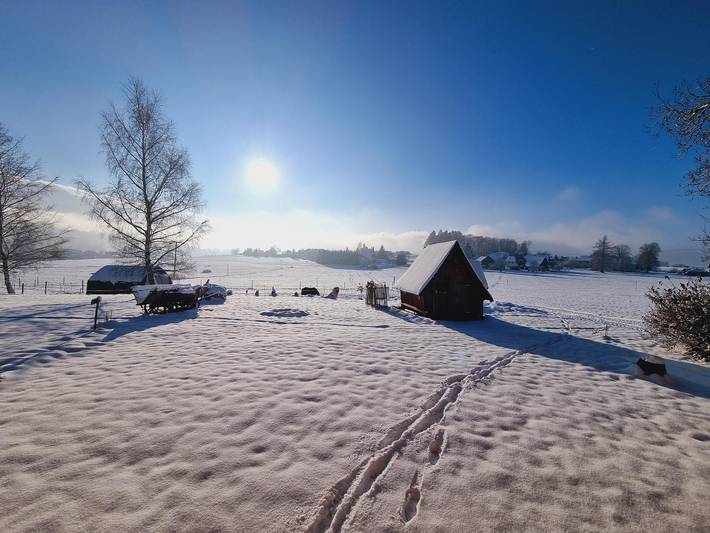 Ganze Wohnung, Landhaus Friedl - Ferienwohnung Veilchen im Obergeschoss in Sankt Oswald-Riedlhütte, Šumava Mountains