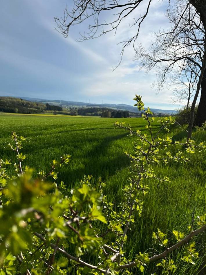 Ferienhaus für 8 Personen, mit Whirlpool und Garten sowie Sauna im Frankenwald - 2