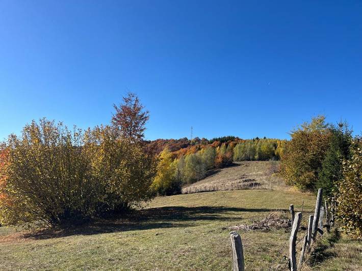 Location de vacances pour 4 personnes, avec terrasse ainsi que vue et jardin à Alba (Romania) - 4