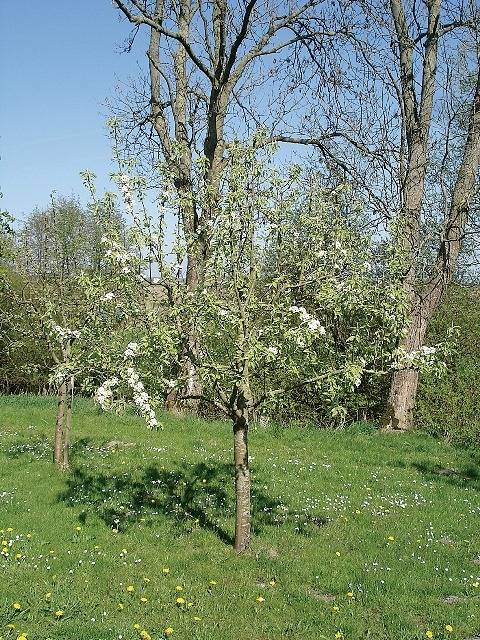 Ganze Ferienwohnung, Haus Sonnenberg - Ferienwohnung-3-Räume - 02 in Koldenbüttel, Eider-Treene-Sorge