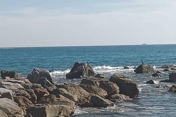 Appartamento vacanze per 4 persone, con terrazza, con animali domestici - 1