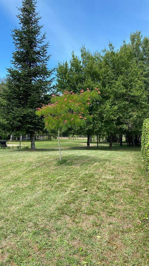 Location de vacances pour 8 personnes, avec vue et jardin, animaux acceptés à Saint-Benoît-la-Forêt - 4