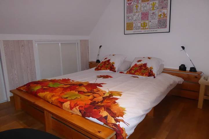 Maison de vacances pour 5 personnes, avec jardin et jacuzzi dans Seine-et-Marne - 4