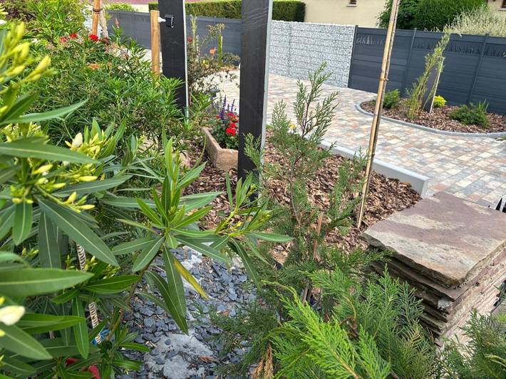 Location de vacances pour 2 personnes, avec piscine et terrasse à Ottrott - 3