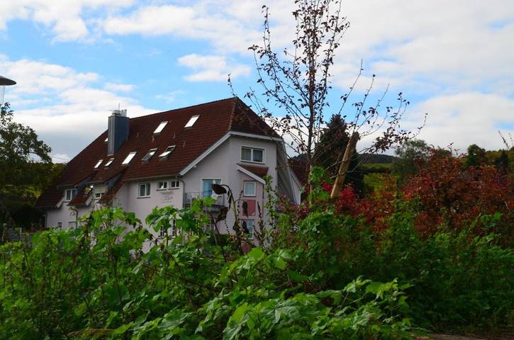 Hotel für 2 Personen, mit Terrasse und Garten sowie Ausblick in Leinsweiler - 3