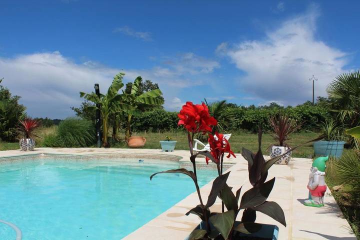 Offer view