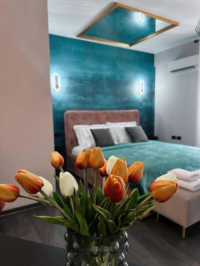 Chambre d’hôte pour 2 personnes, avec balcon, animaux acceptés à Tirana