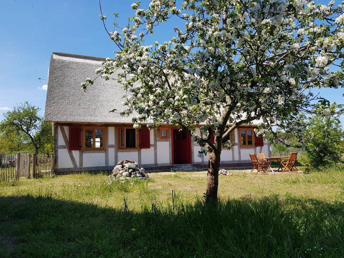 Ganze Wohnung, Fischerhus Lütt Hauke 75 qm Annerose in Altwarp, Vorpommern Greifswald