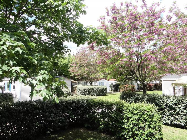 Mobil home pour 5 personnes, avec vue ainsi que terrasse et piscine, animaux acceptés à Rosières (Ardèche) - 3