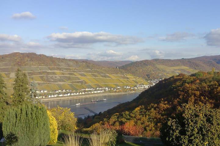 Ferienwohnung für 6 Personen, mit Balkon und Garten in Bacharach