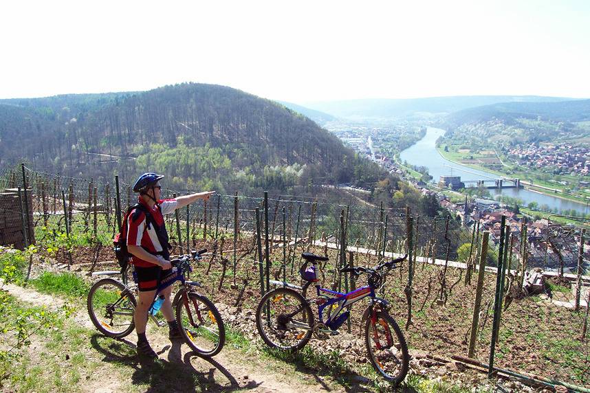 Ferienwohnung "Auf Schäfers Spuren" - Ferienwohnung mit Kaminofen und Balkon in Bürgstadt, Fränkisches Weinland