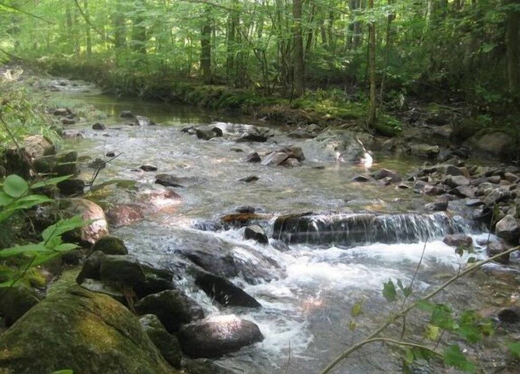 Jackson House * super Lage * Mtn und Brookside, super sauber, bequem, Haustiere ok in Jackson (NH), White Mountain National Forest