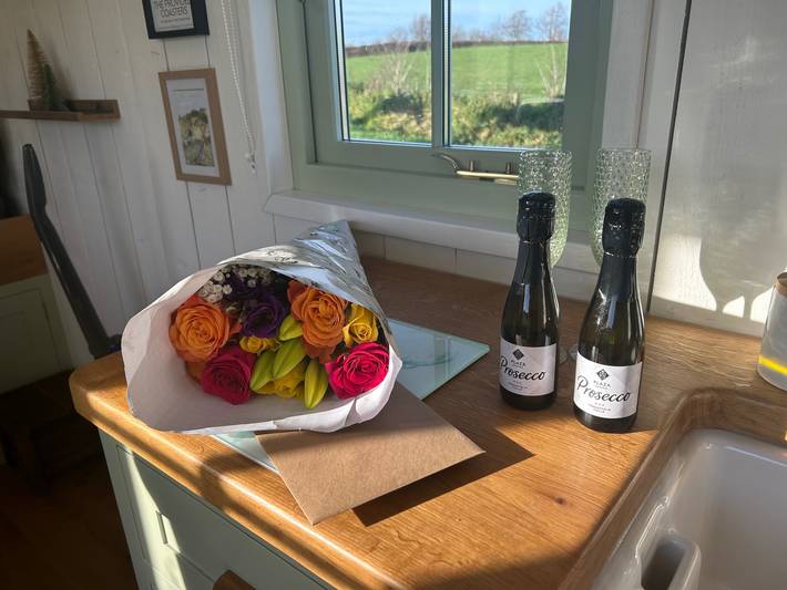 Ferienhaus für 2 Personen, mit Garten und Terrasse in Devon - 3