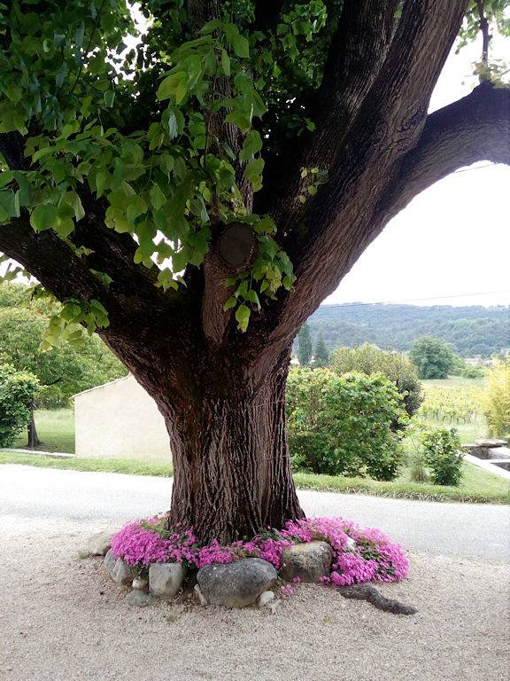 Gite Toulourenc du Ventoux in Mollans-sur-Ouvèze, Région de nyons