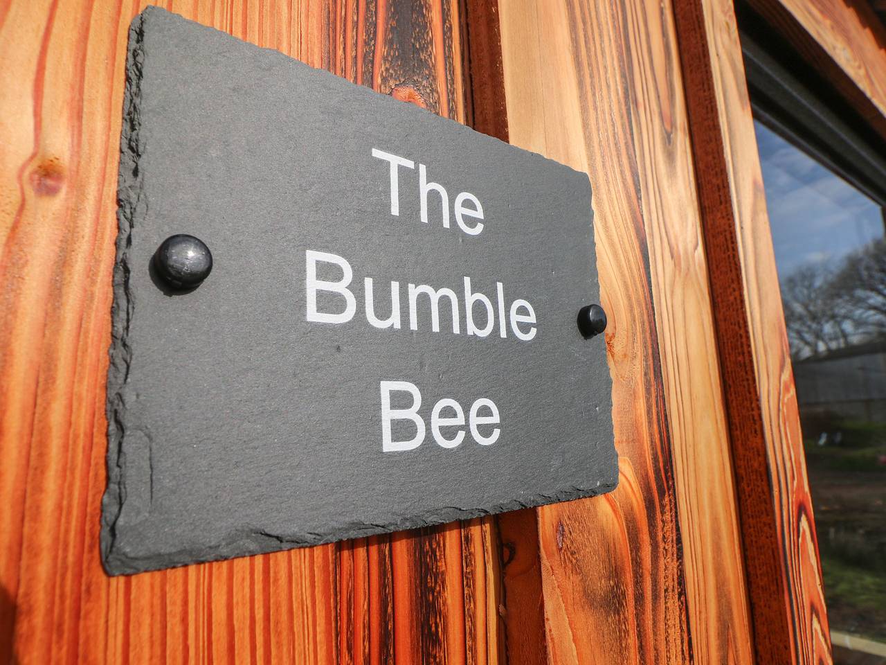 The Bumblebee in Pembroke, Pembrokeshire