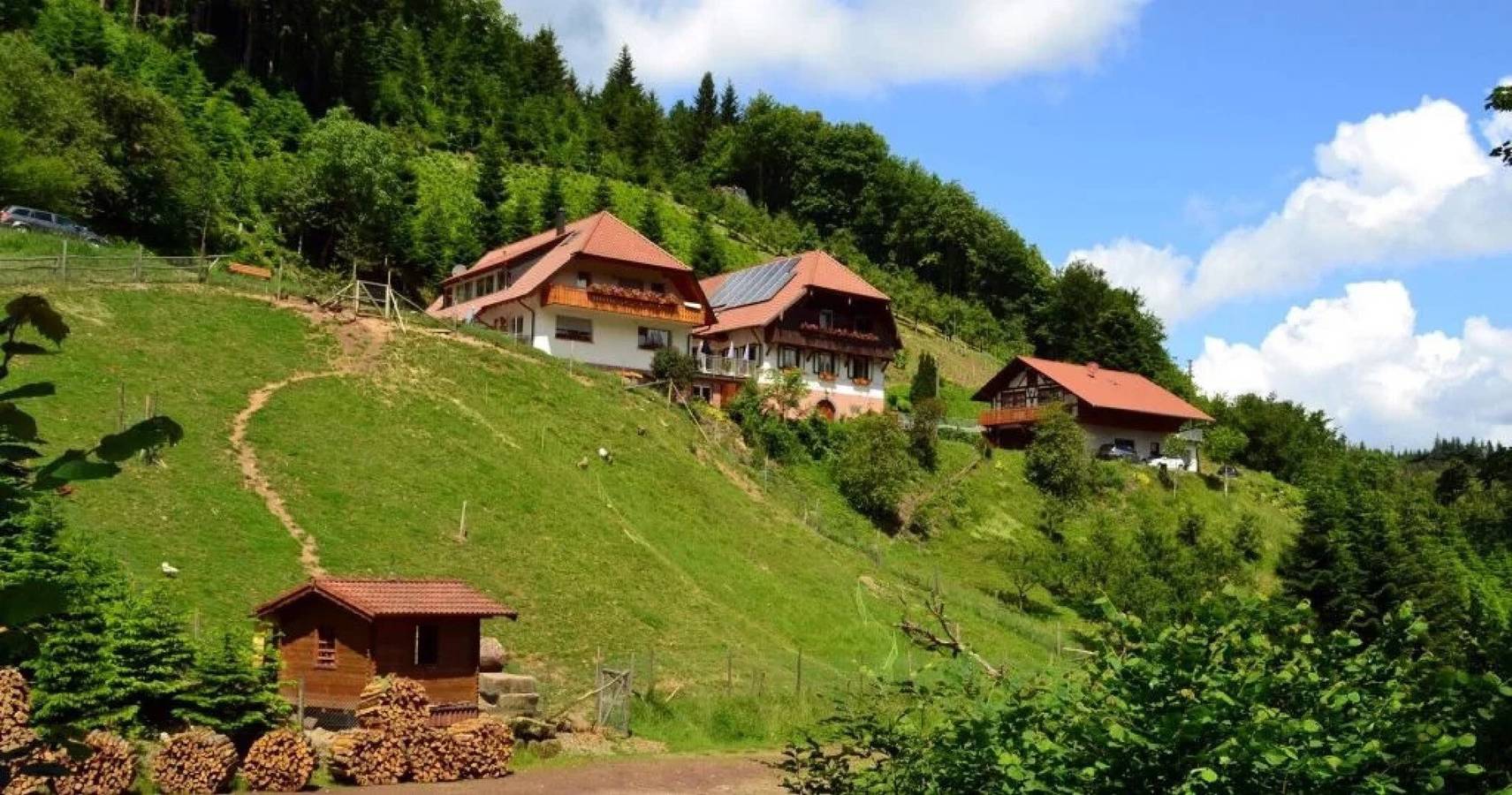 Apartamento inteiro, Apartamento 'Ferienwohnung Blütenzauber' com Terraço Privado, Jardim Partilhado e Wi-Fi in Durbach, Central Black Forest