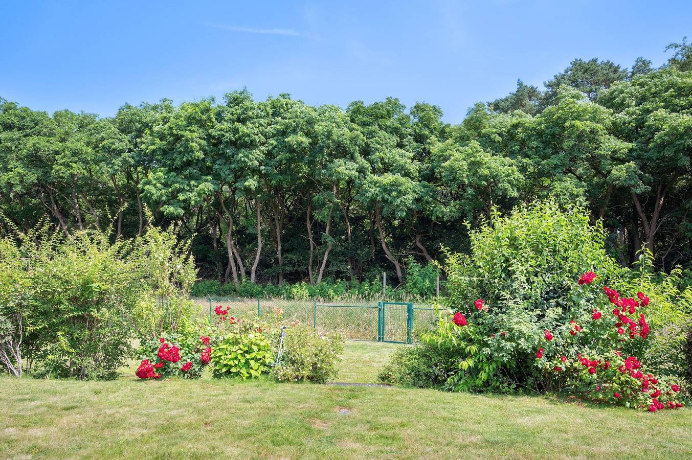 Wundervolle Oase am Märkischen Meer in Storkower See, Wendisch Rietz