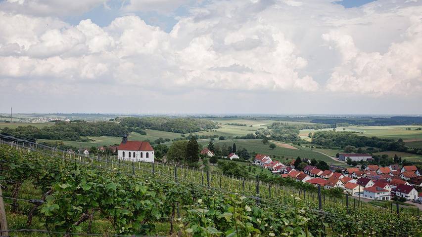 Ferienwohnung für 6 Personen, mit Terrasse in Deutsche Weinstraße - 2
