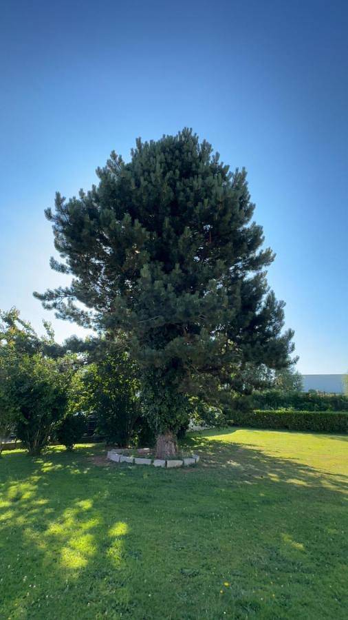 Four-Bedroom House in Bourg-Achard, Région de Bernay
