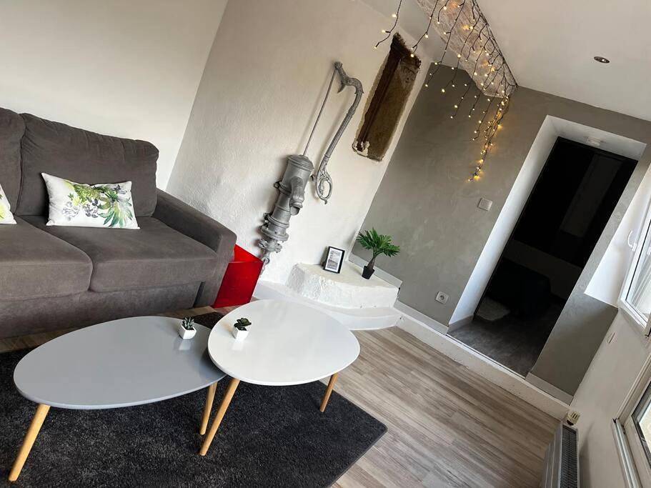 Appartement entier, Appartement de caractère in Irigny, Lyon et ses environs