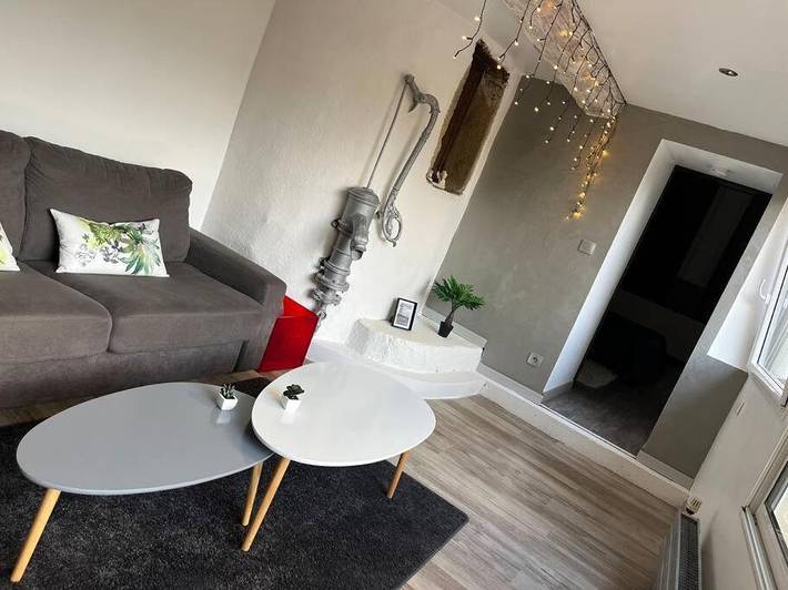 Gîte pour 5 personnes, avec terrasse à Irigny - 4