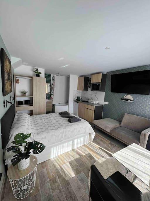 Gîte pour 2 personnes, avec jardin et jacuzzi à Tassin-la-Demi-Lune - 4