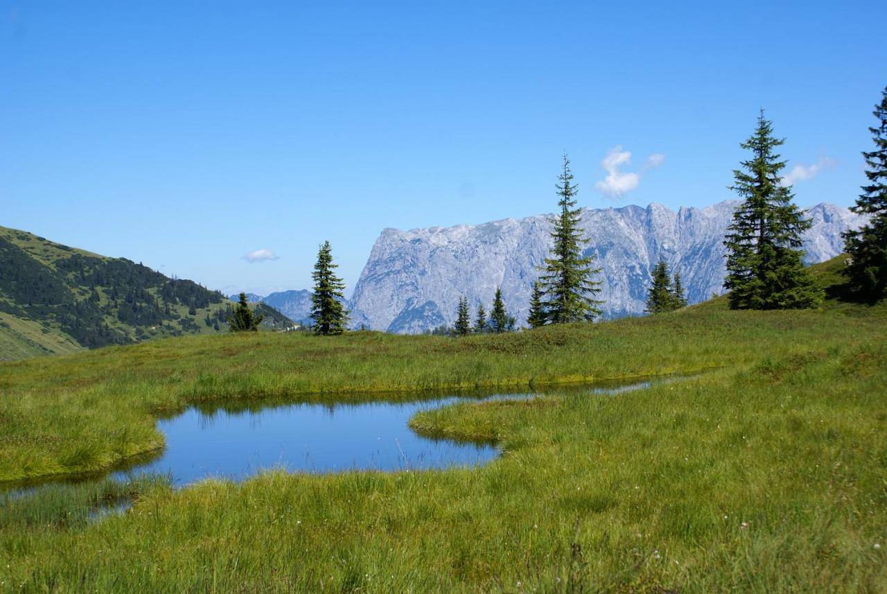 Ganze Wohnung, Das Sonneck in Hochkönigstock, Mühlbach am Hochkönig