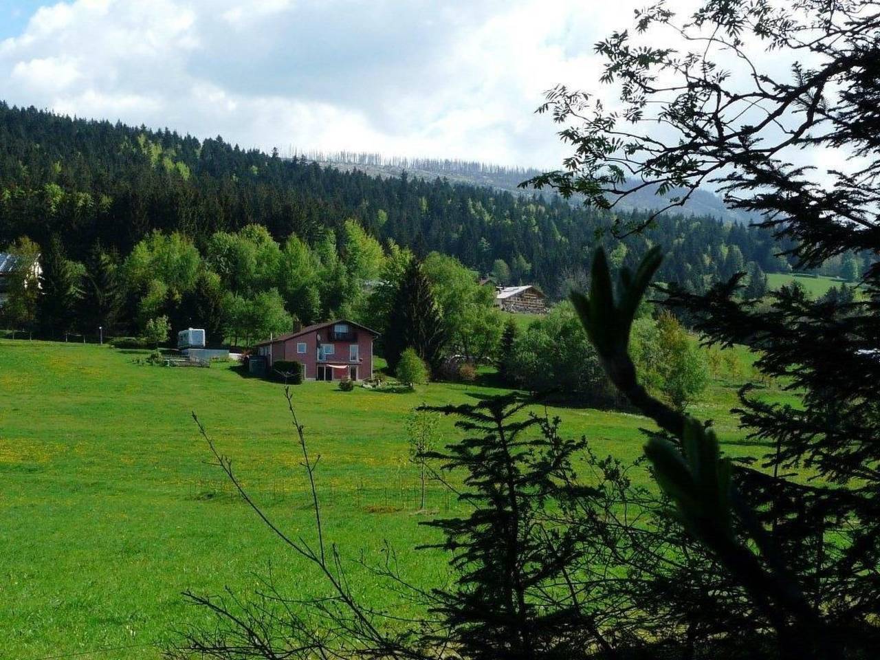 Ganze Wohnung, Mit Bergblick in Neureichenau, Ostbayern