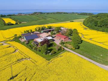 Bauernhof für 5 Personen, mit Garten und Terrasse, kinderfreundlich in Geltinger Bucht