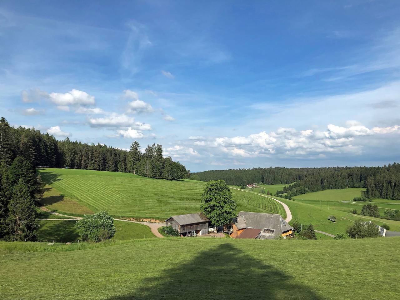 Entire holiday apartment, Lippenhof - Unter der Linde - Apartment, 85 qm, 2 bedroom, terrace, max. 5 persons in Unterkirnach, Central Black Forest
