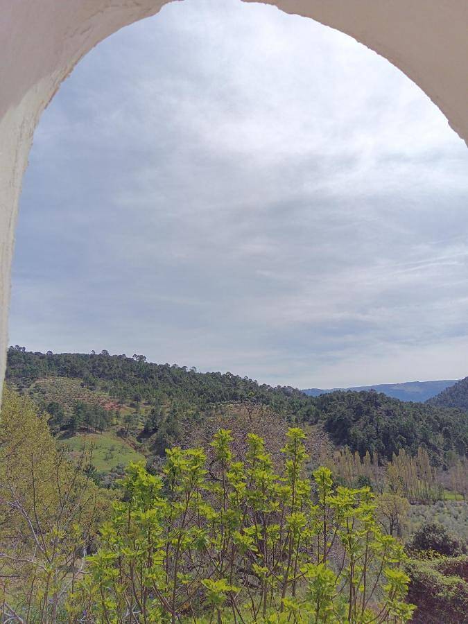 Casa rural para 14 personas, con vistas y jardín además de piscina para niños y piscina en Villaverde de Guadalimar - 3