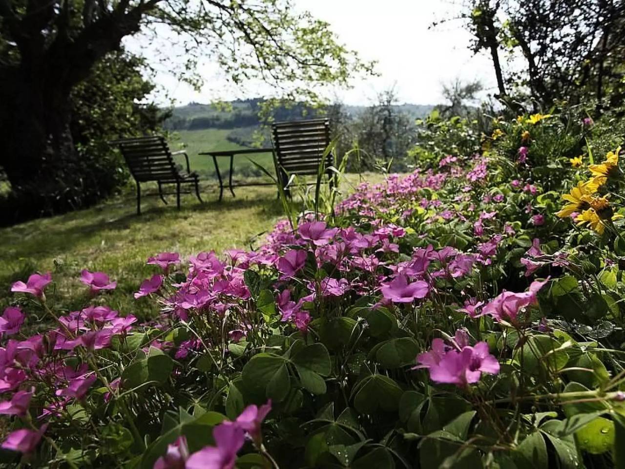 Casa 12 Persone in San Casciano in Val di Pesa, Chianti