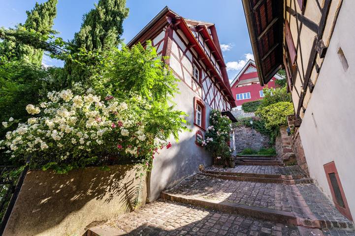 Ferienhaus für 7 Personen, mit Garten in Europa-Park