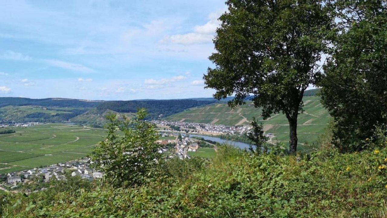 Appartement de vacances entier, Ferienwohnung für 2 Personen (70 m²) in Klüsserath in Klüsserath, Moseleifel