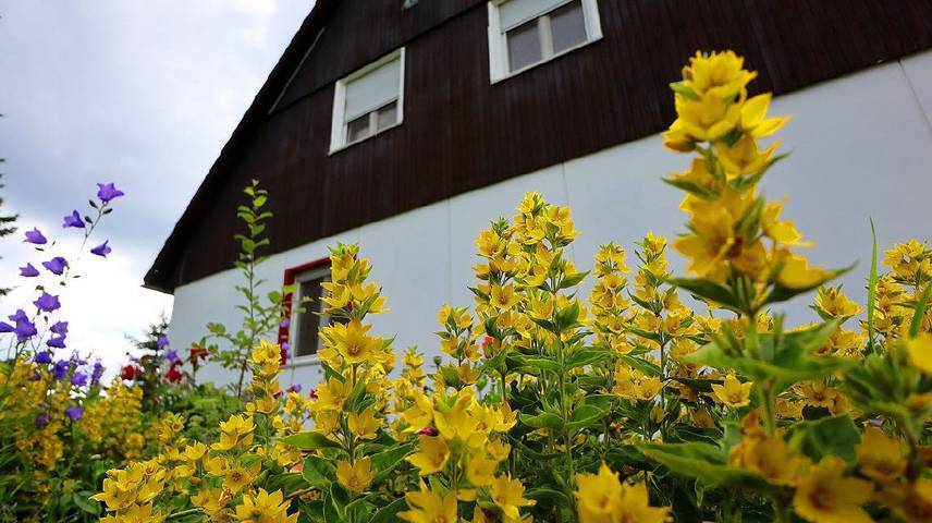 Gîte pour 4 personnes, avec terrasse à Bonndorf im Schwarzwald - 2