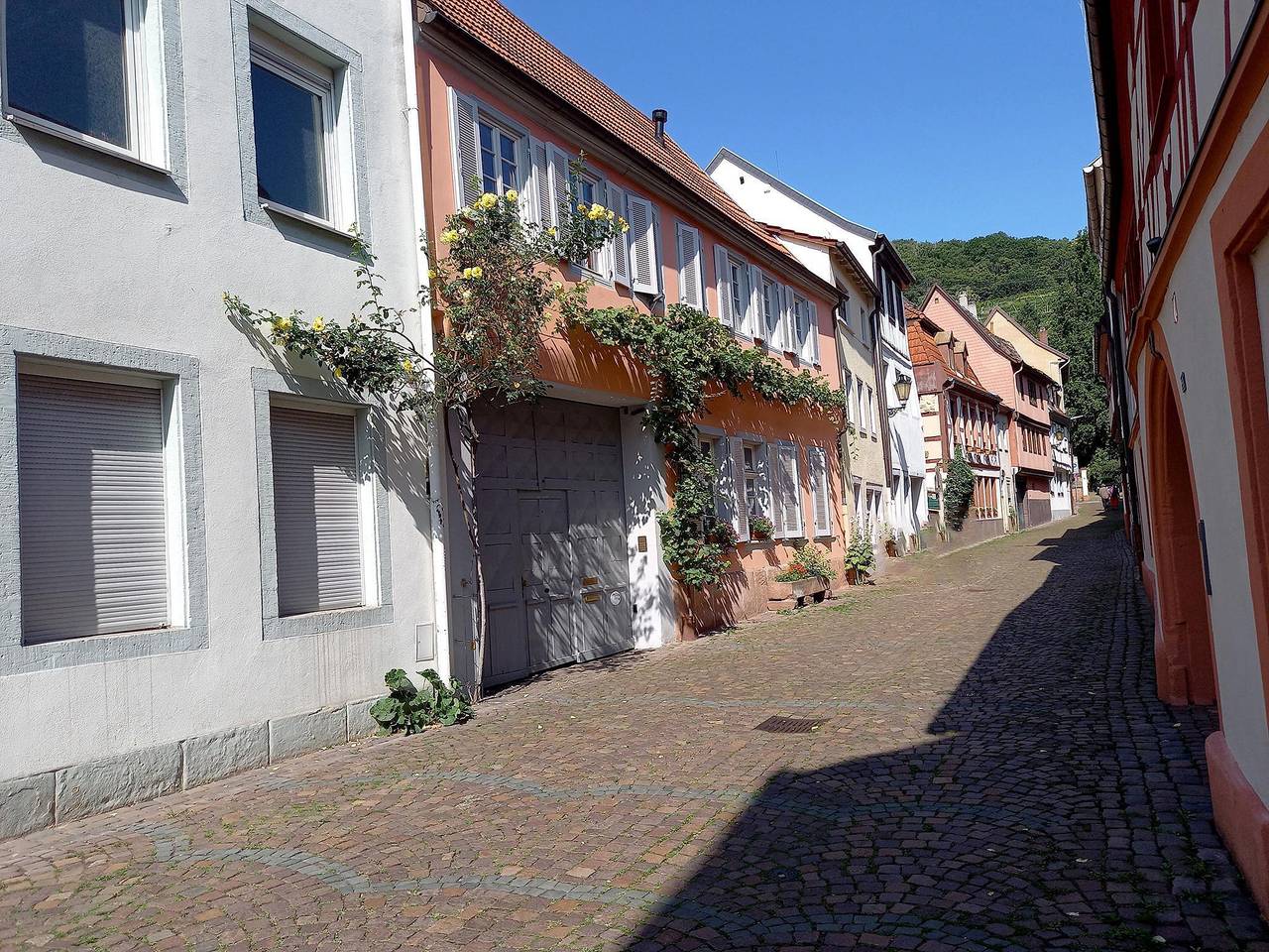 Appartamento vacanze a Kurpfalz a partire da 90€ a notte