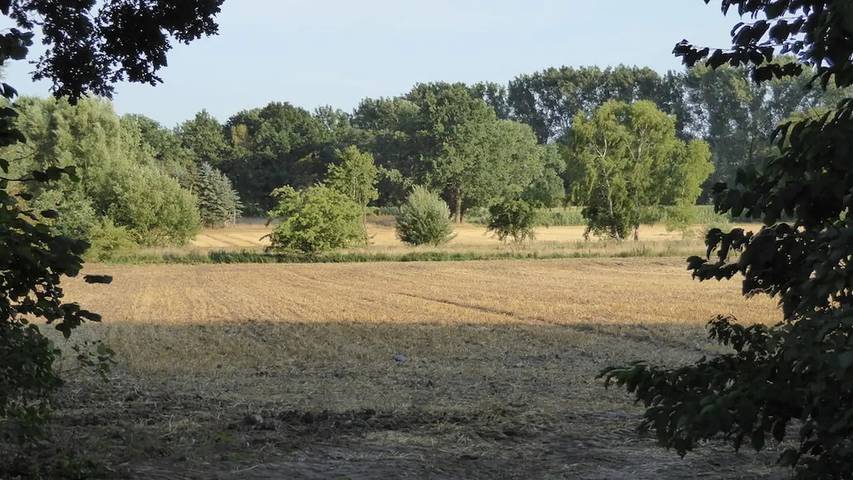 Ferienhaus für 6 Personen, mit Terrasse in Lüneburg und Umgebung - 4